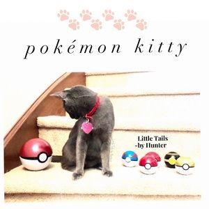 It’s a Purrfect time for You🐾🐾🐾